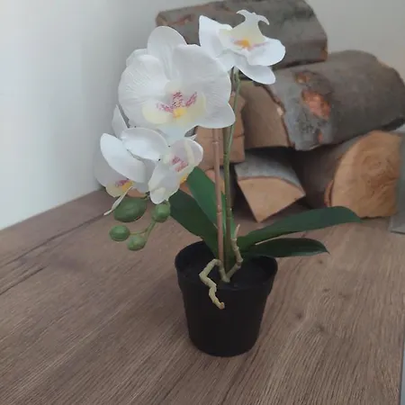 Apartamento Apartlux Helena1 Divčibare